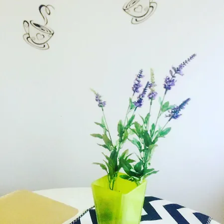 Apartman Stan Na Dan Bajka Appartamento